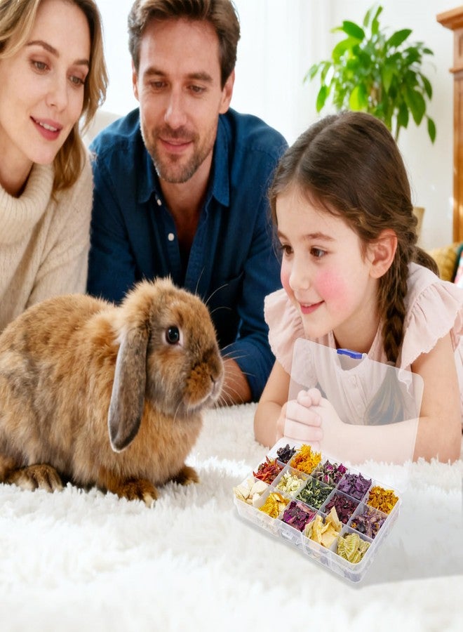 MHLLGN Bunny Treats, Treat Box with 15 Kind of Snacks for Rabbit, Hamster, Chinchilla, Guinea Pig and Other Small Pets, Chinchilla Treats, Guinea Pig Treat - Image 5